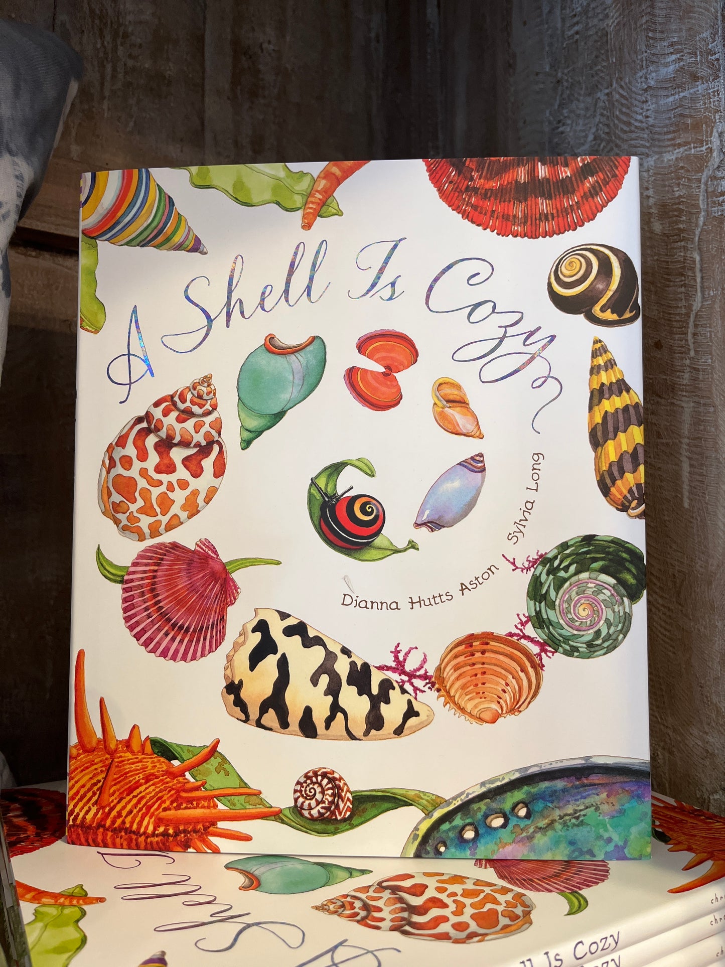 A Shell is Cozy