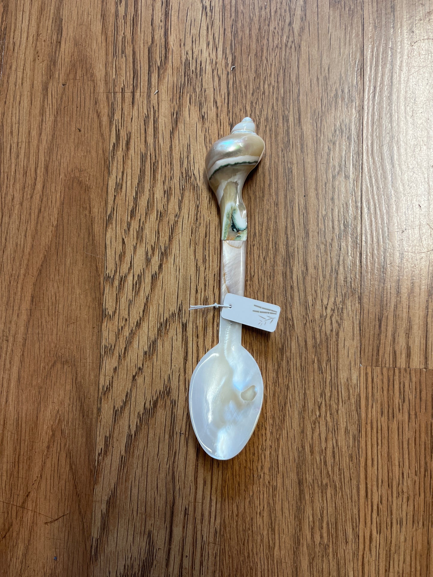 Shell Spoon
