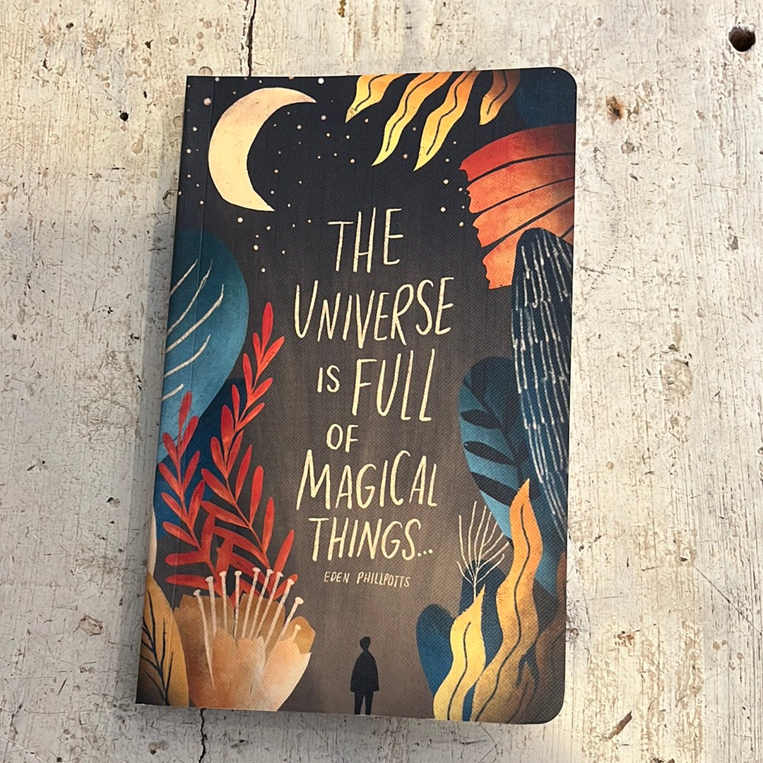 The Universe is Full Journal