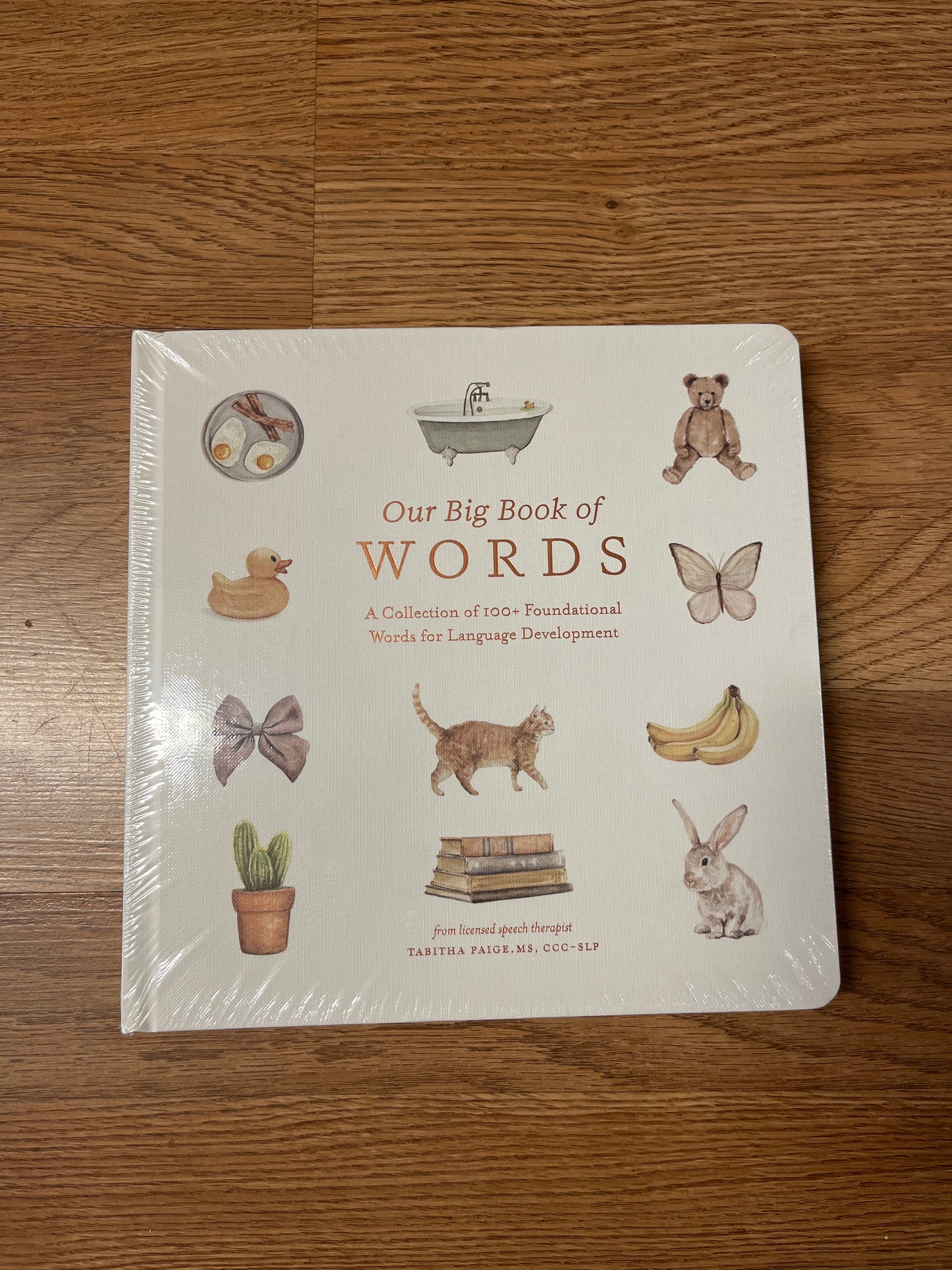 Our Big Book of Words