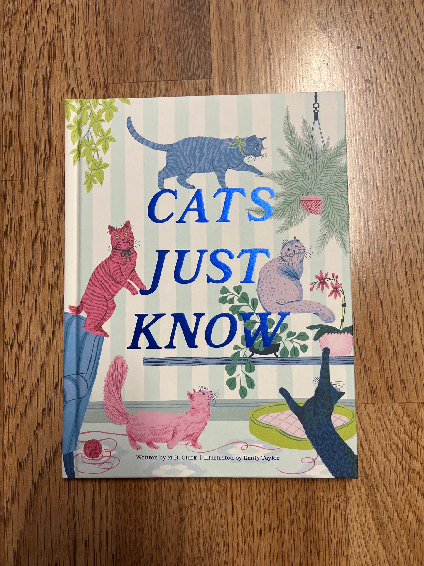 Cats Just Know