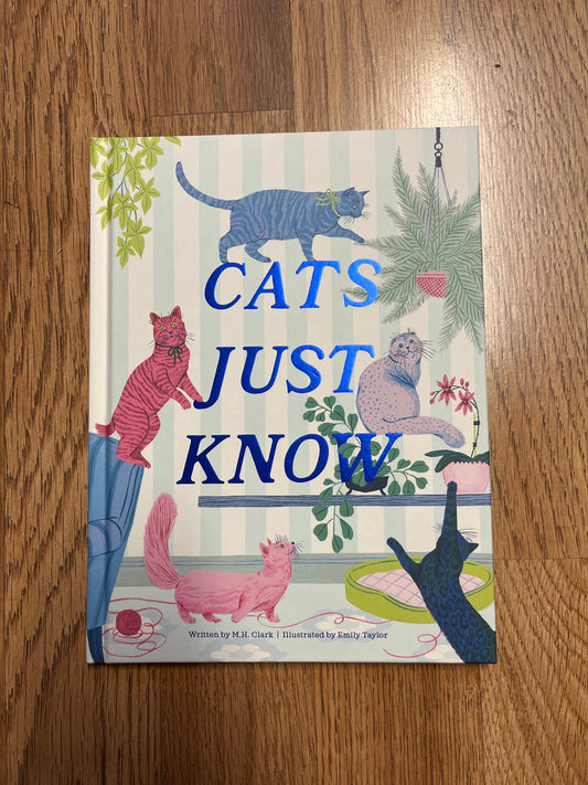 Cats Just Know