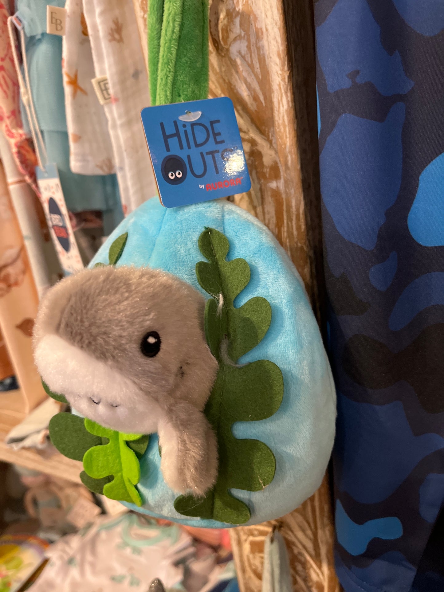 Hideout Reef Shark