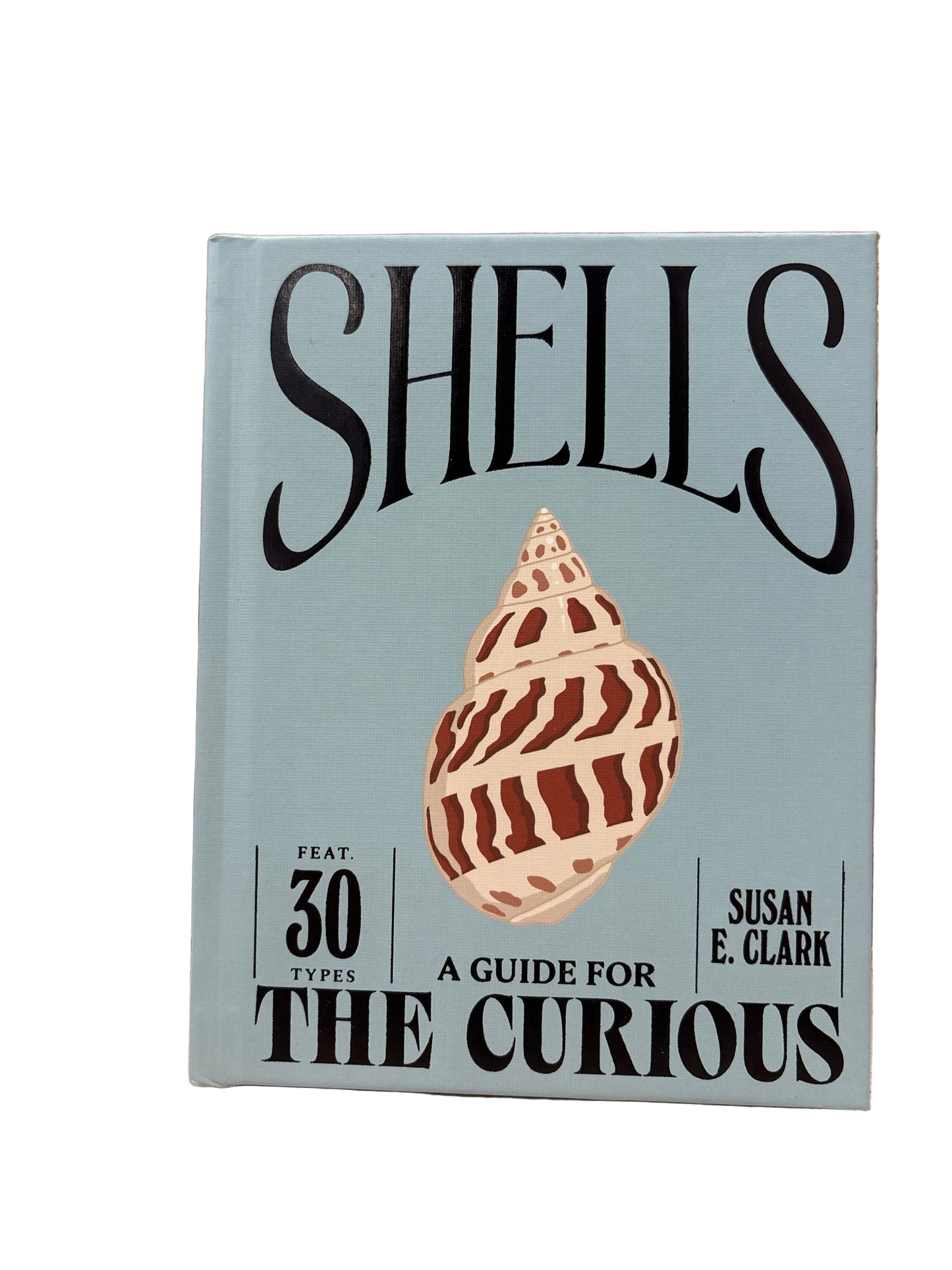 Shells: A Guide for the Curious