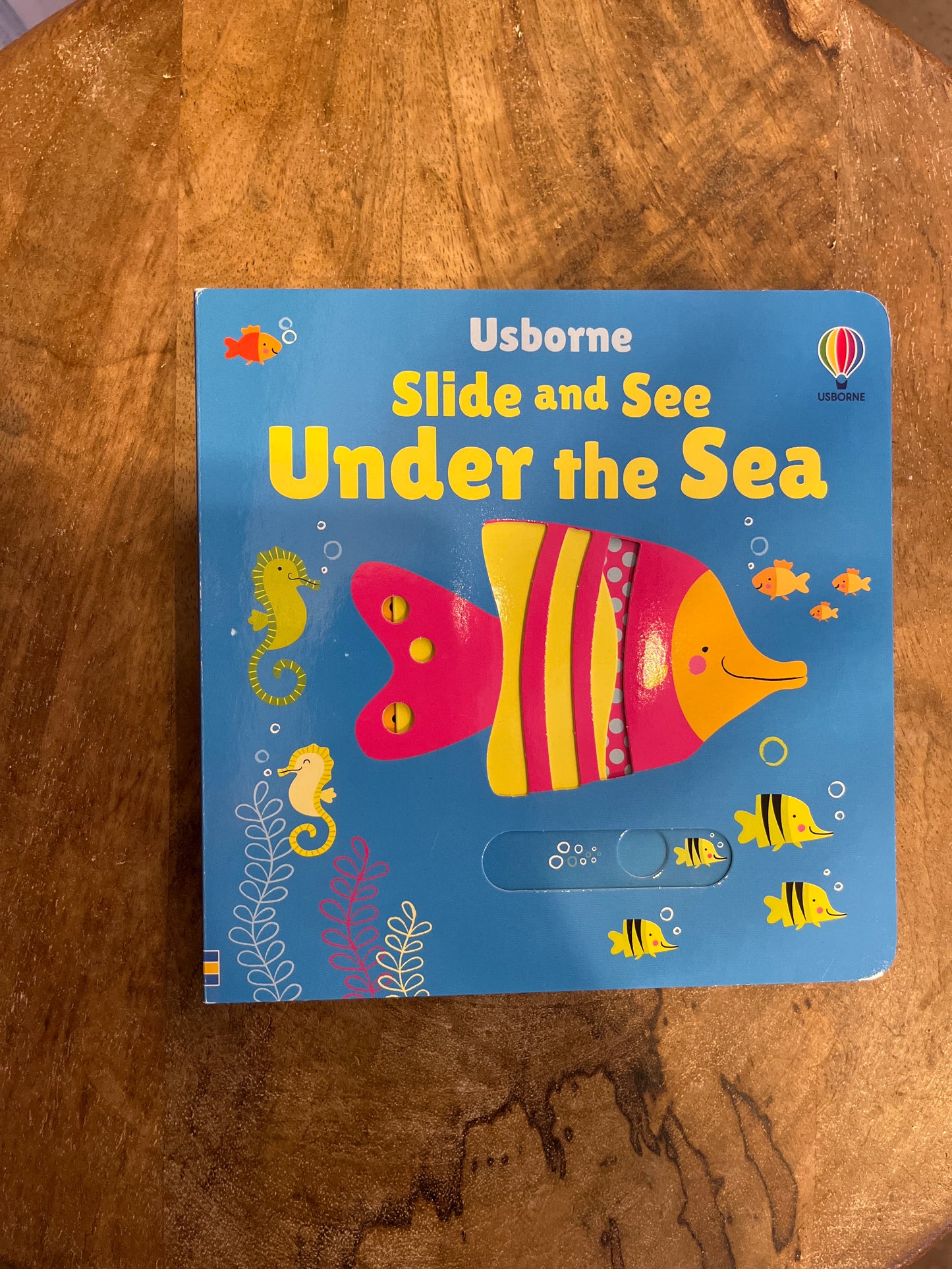 Slide and See Under the Sea