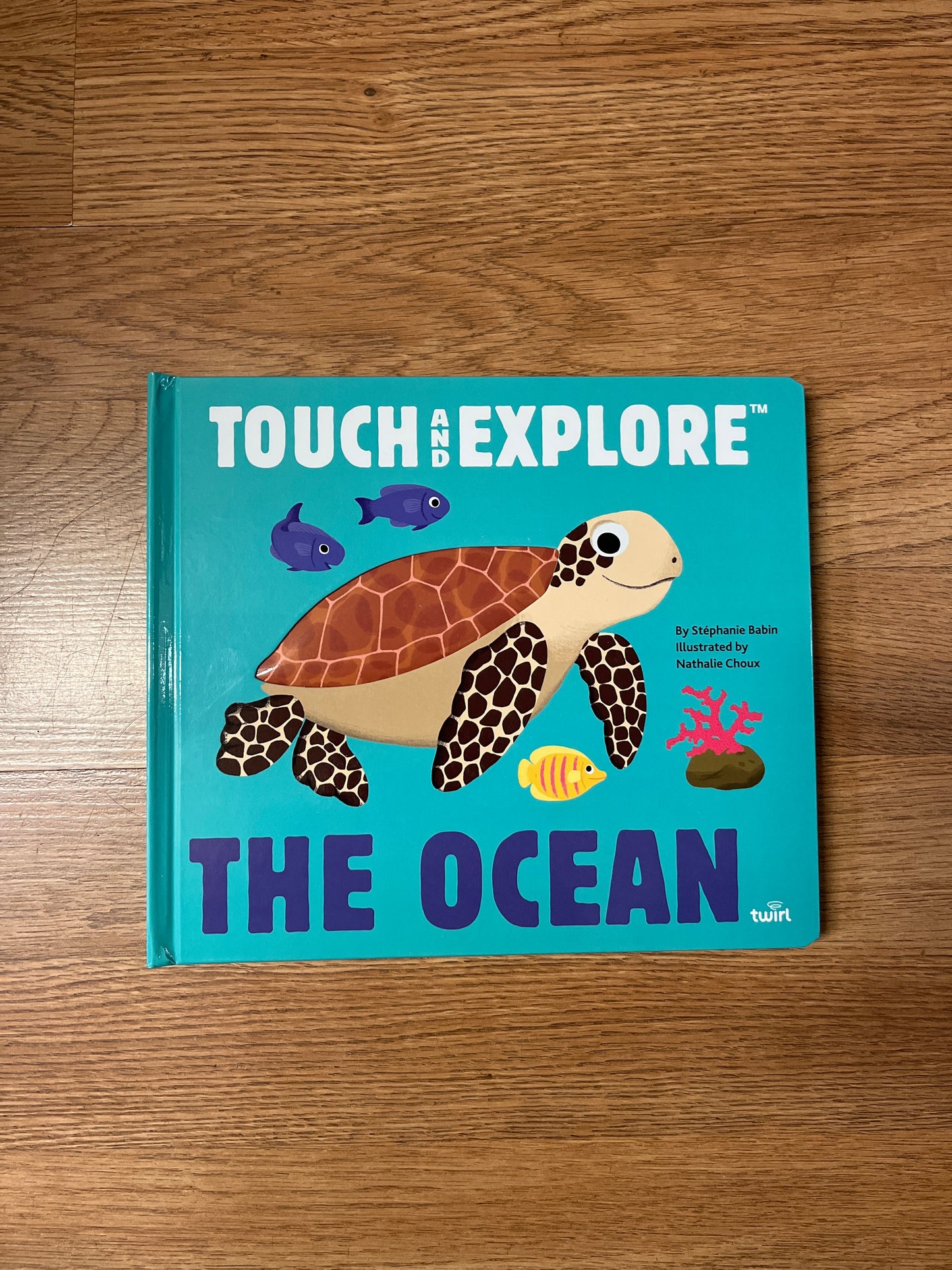 Touch and Explore: The Ocean