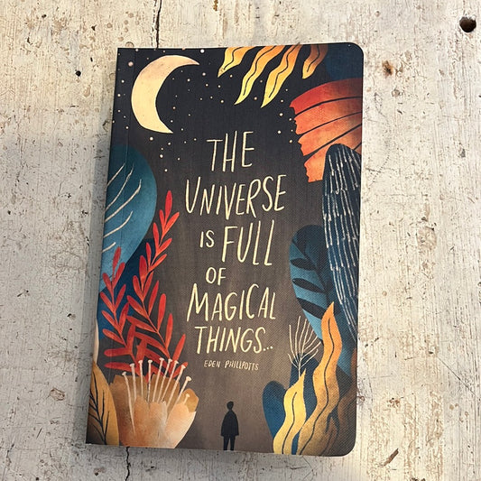 The Universe is Full Journal