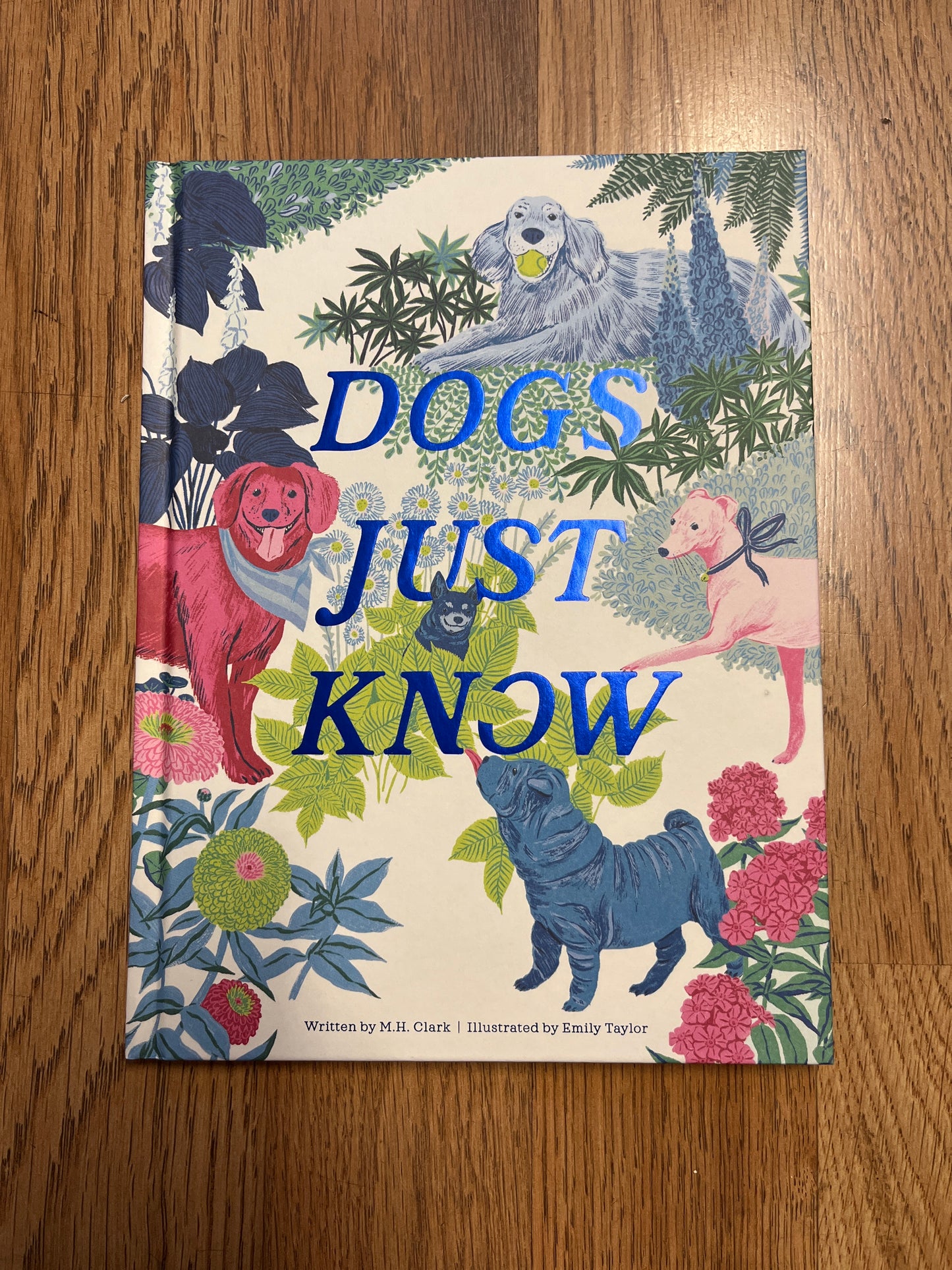 Dogs Just Know