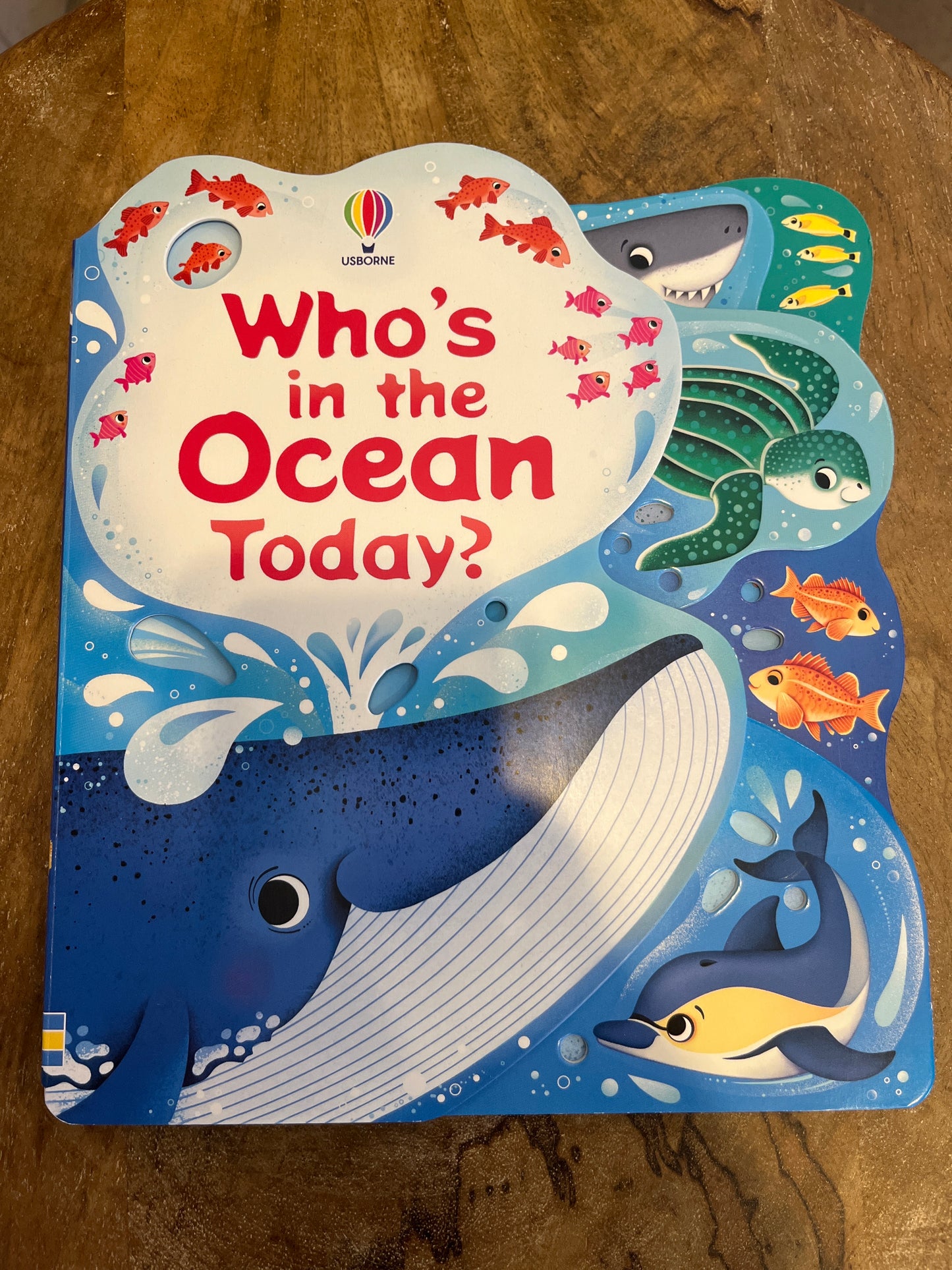 Who's in the Ocean Today?