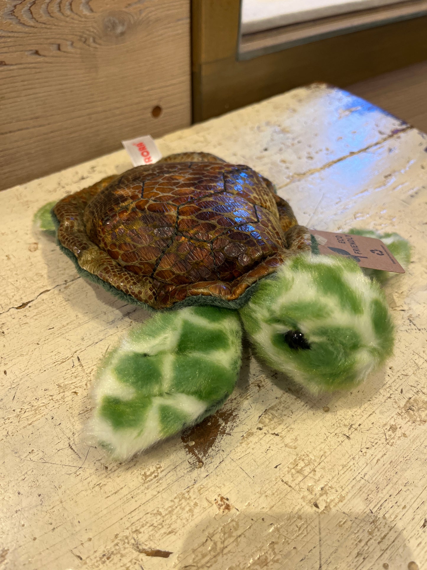 Splish Sea Turtle