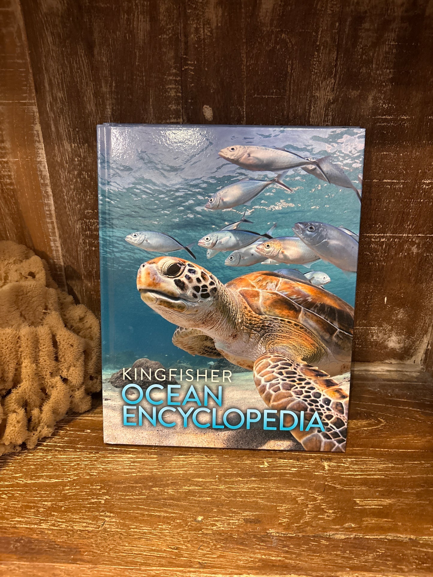 Ocean Encyclopedia