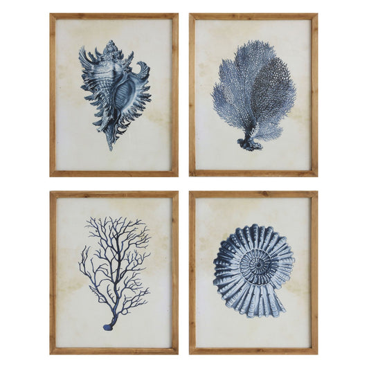 Framed Wall Decor with Coral and Shells, 4 Styles